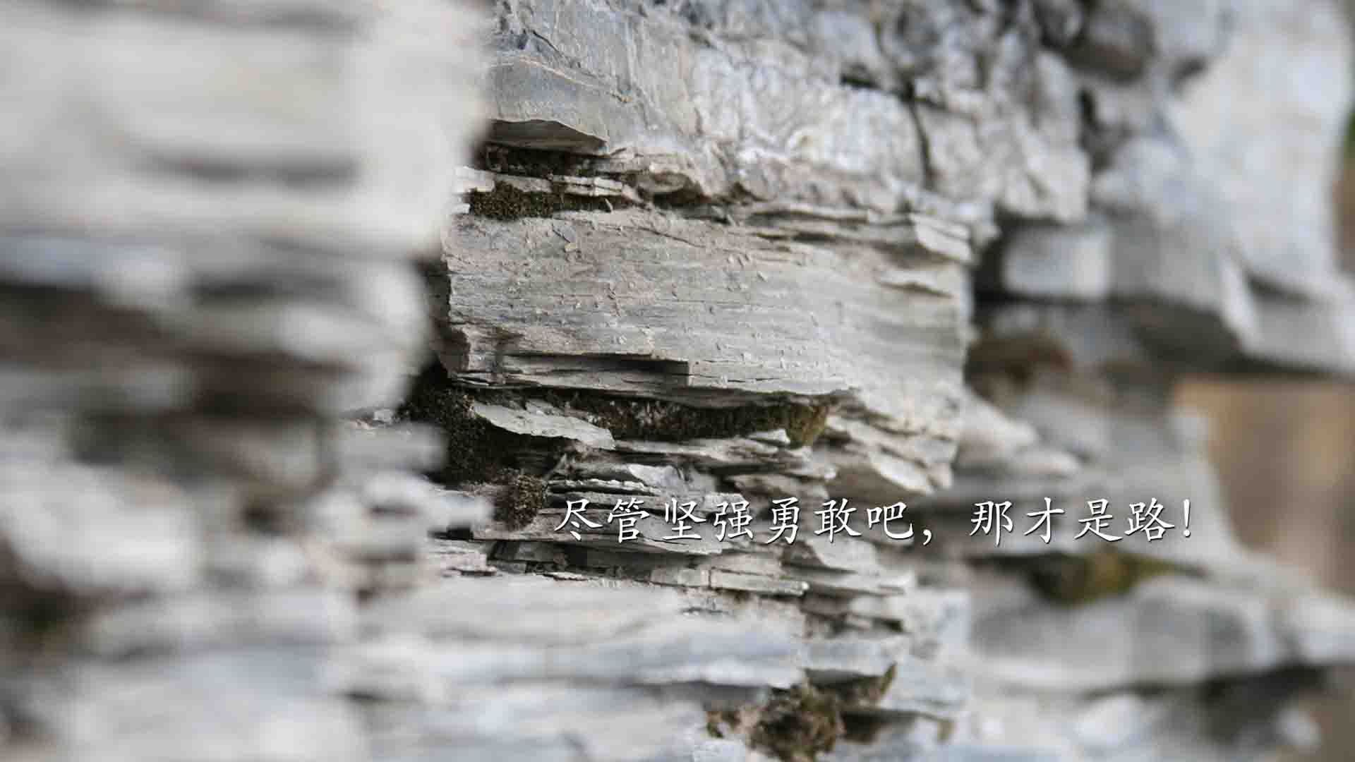 上海海港青训营培养新星，上海上港青训招生条件