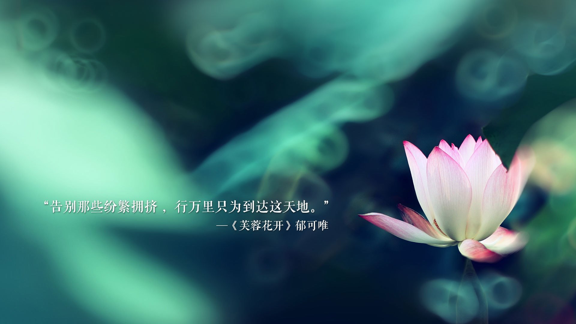 名宿加盟教练组，传授经验助力球队发展，名宿当教练