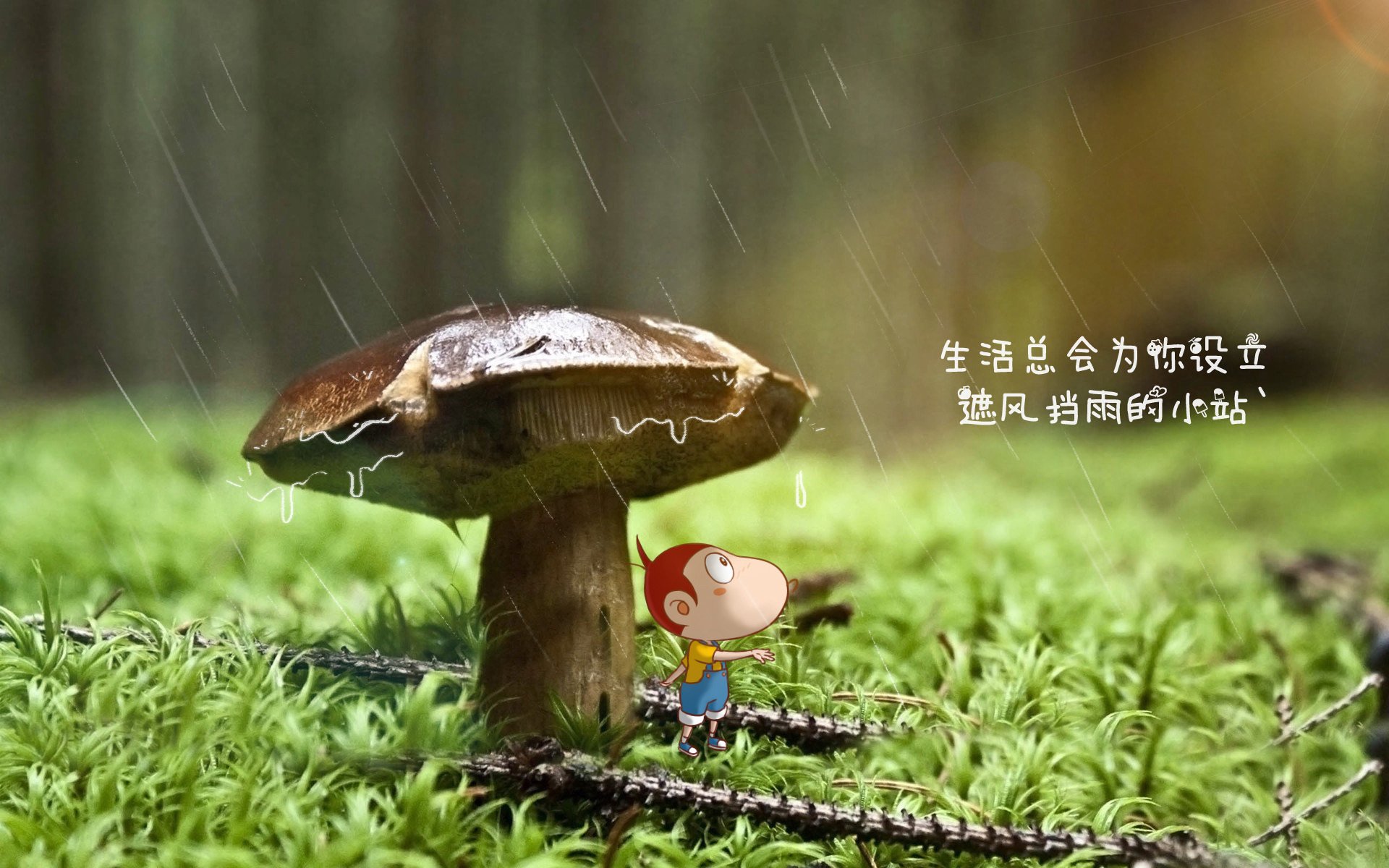 女足世界杯备战方案细致，争取佳绩，2031年女足世界杯