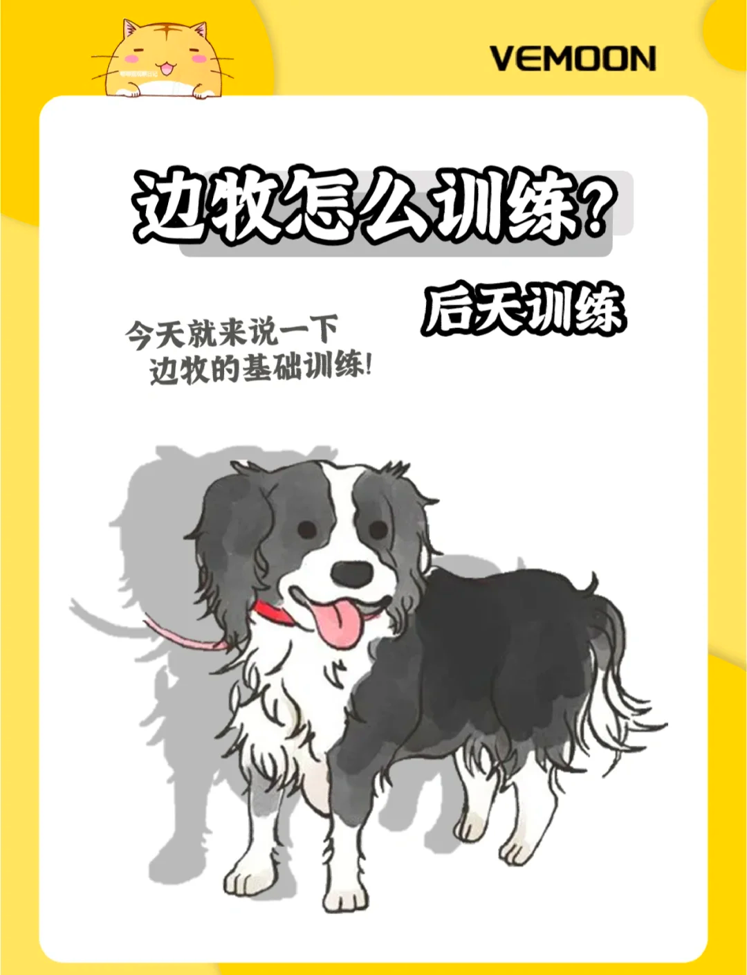 【训练心得】打好攻防转换的关键技巧，从基础开始