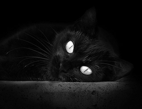 CBA球员合同管理为何不公开透明，cba签约合同