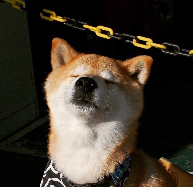 爱游戏官网-“宽板滑水：东三叉湖赛场让水面上的挑战更具视觉冲击力”