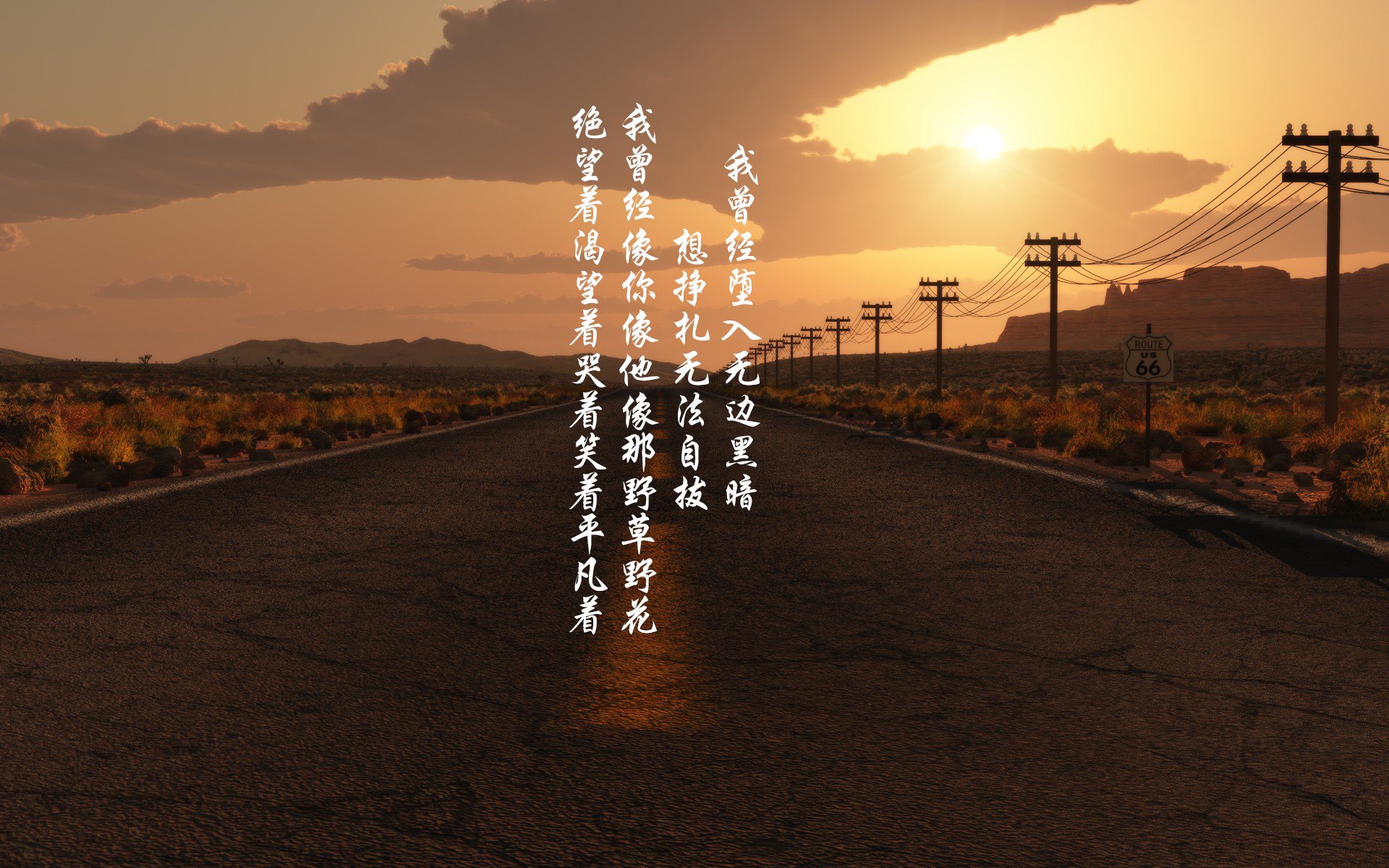 中国香港队的拼搏与团结：国际乒联混合团体世界杯中的关键表现