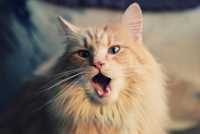 国际热身赛国足战平 球员状态逐渐回暖,国足热身赛时间安排