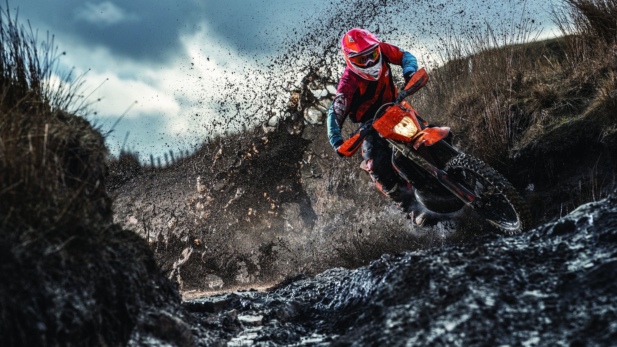 燃情欧冠夜，球迷狂欢不夜城